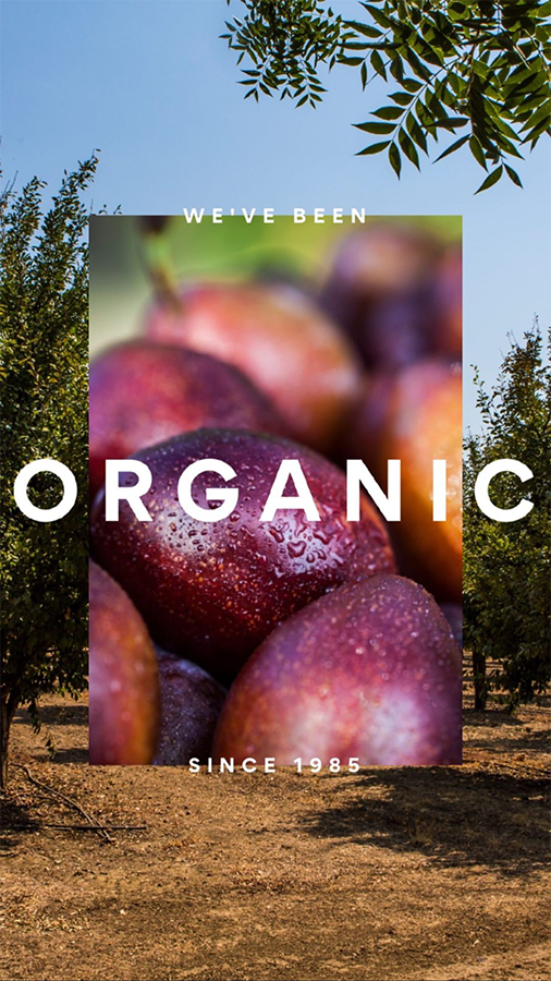 We've Been Organic Since 1985